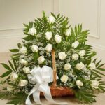 belo-cvece-u-korpi-beograd